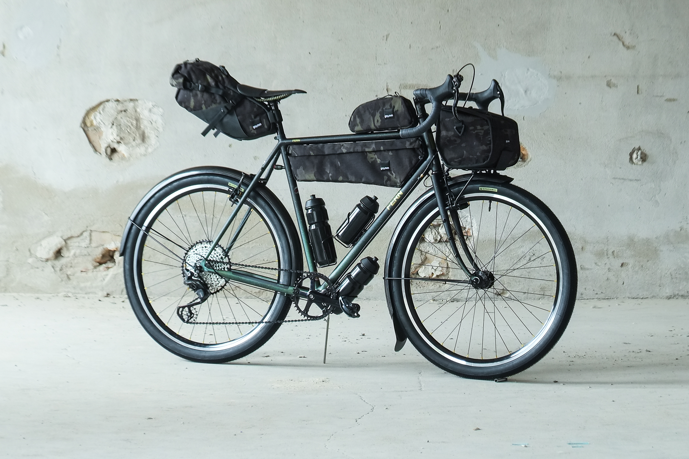 Fern touring online bike